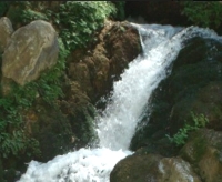 The Waterfalls